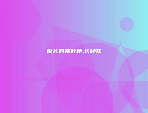 很长的茶叶梗,长梗花
