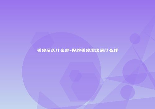 毛尖花长什么样-好的毛尖泡出来什么样