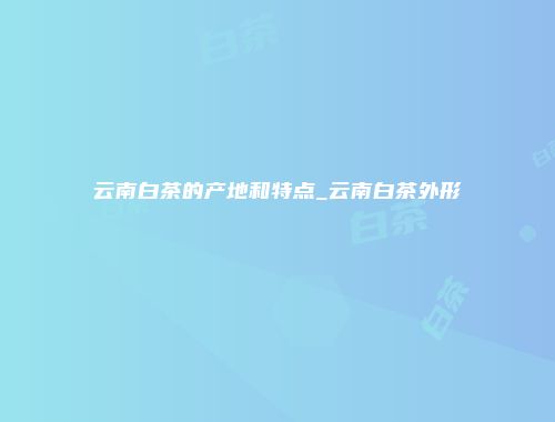 云南白茶的产地和特点_云南白茶外形