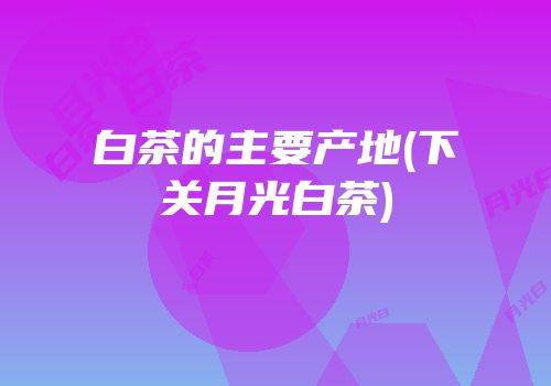 白茶的主要产地(下关月光白茶)