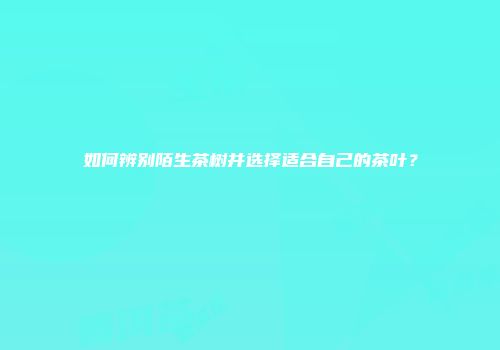 如何辨别陌生茶树并选择适合自己的茶叶？