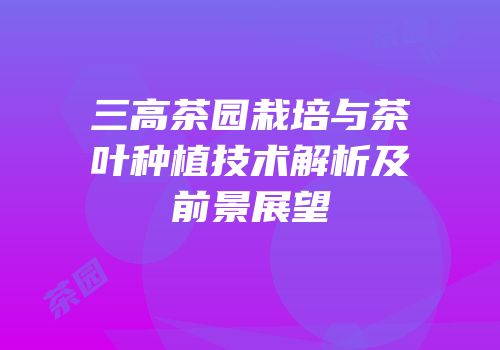 三高茶园栽培与茶叶种植技术解析及前景展望