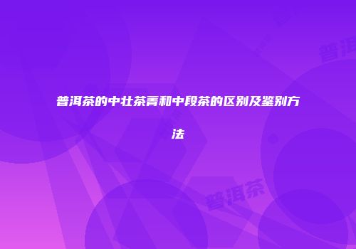 普洱茶的中壮茶菁和中段茶的区别及鉴别方法