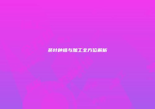 茶叶种植与加工全方位解析