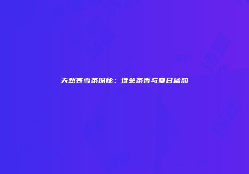 天然苍雪茶探秘：诗意茶香与夏日橘韵