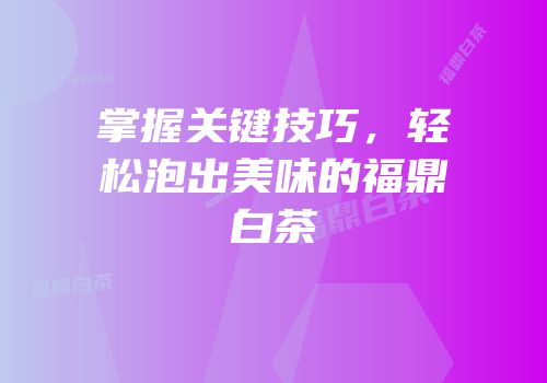 掌握关键技巧，轻松泡出美味的福鼎白茶