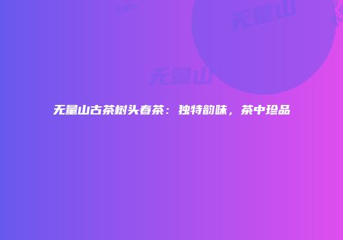无量山古茶树头春茶：独特韵味，茶中珍品