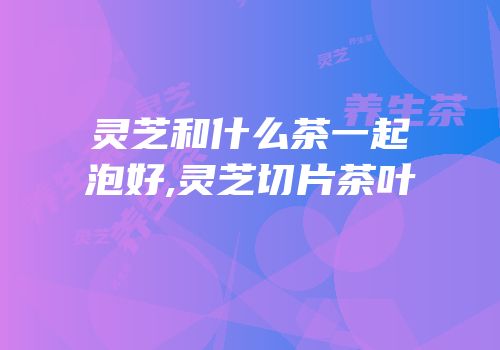 灵芝和什么茶一起泡好,灵芝切片茶叶