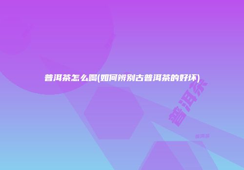 普洱茶怎么喝(如何辨别古普洱茶的好坏)