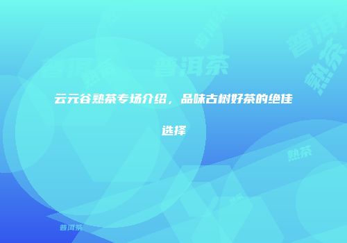 云元谷熟茶专场介绍，品味古树好茶的绝佳选择