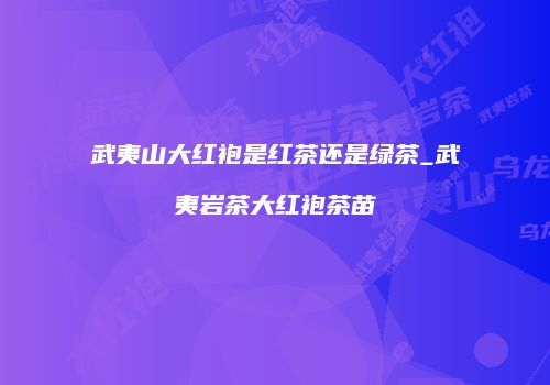 武夷山大红袍是红茶还是绿茶_武夷岩茶大红袍茶苗