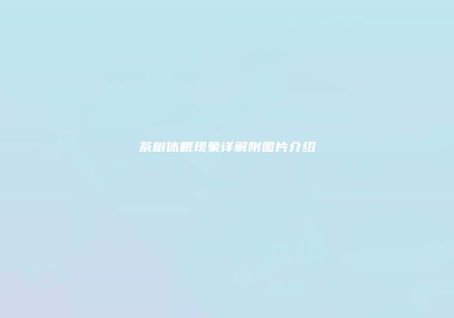 茶树休眠现象详解附图片介绍