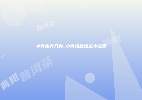 小青柑有几种_小青柑胎柑越小越贵
