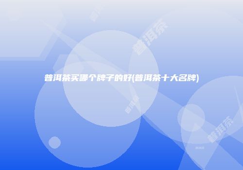 普洱茶买哪个牌子的好(普洱茶十大名牌)