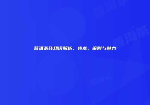 普洱茶砖知识解析：特点、鉴别与魅力