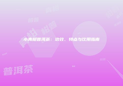 小青柑普洱茶：功效、特点与饮用指南