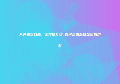 从外观到口感，全方位介绍_如何正确品鉴金骏眉茶叶