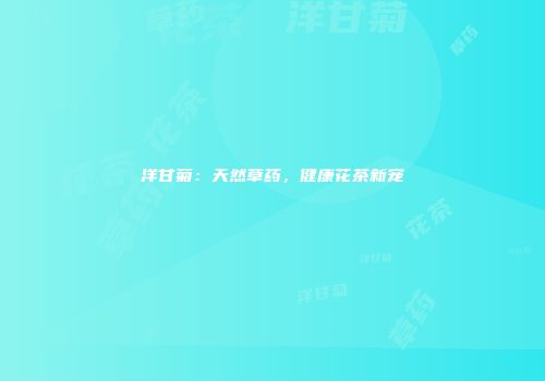 洋甘菊：天然草药，健康花茶新宠