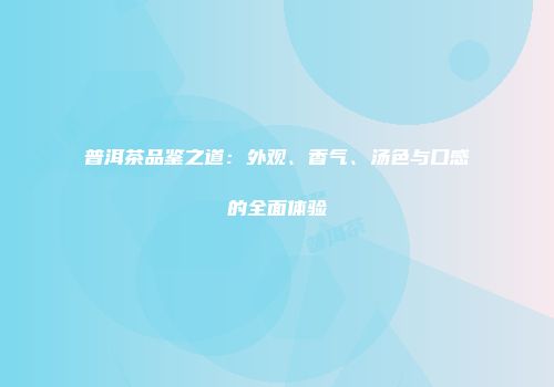 普洱茶品鉴之道：外观、香气、汤色与口感的全面体验