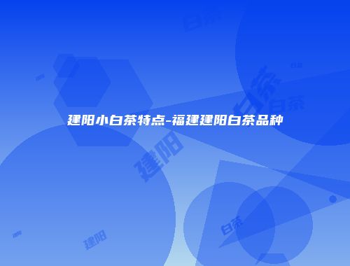 建阳小白茶特点-福建建阳白茶品种