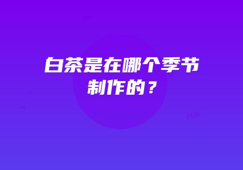 白茶是在哪个季节制作的？