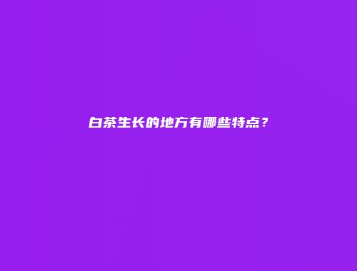 白茶生长的地方有哪些特点？