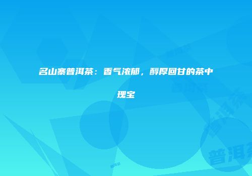 名山寨普洱茶：香气浓郁，醇厚回甘的茶中瑰宝