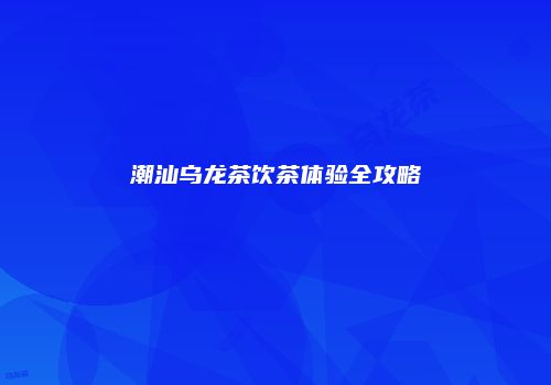 潮汕乌龙茶饮茶体验全攻略