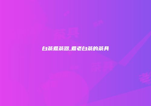 白茶煮茶器,煮老白茶的茶具