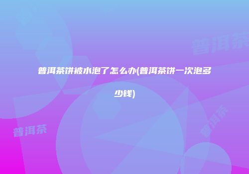 普洱茶饼被水泡了怎么办(普洱茶饼一次泡多少钱)