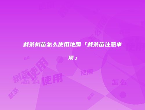 栽茶树苗怎么使用地膜「栽茶苗注意事项」
