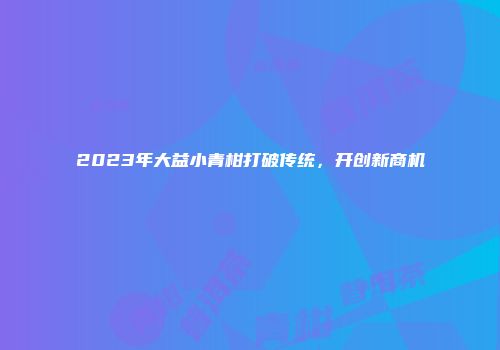 2023年大益小青柑打破传统，开创新商机