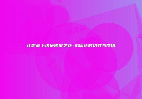 让你爱上这朵佛家之花-水仙花的功效与作用