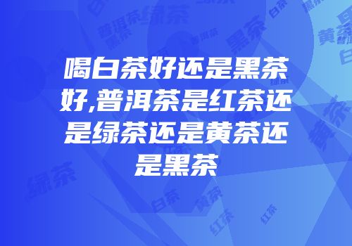 喝白茶好还是黑茶好,普洱茶是红茶还是绿茶还是黄茶还是黑茶