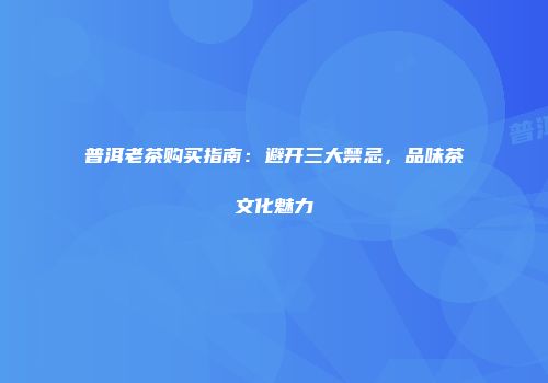 普洱老茶购买指南：避开三大禁忌，品味茶文化魅力