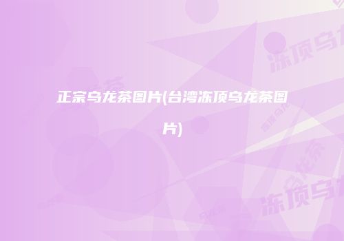 正宗乌龙茶图片(台湾冻顶乌龙茶图片)