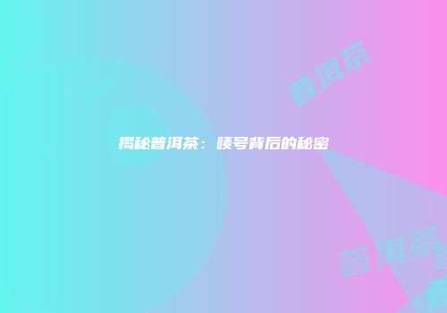 揭秘普洱茶：唛号背后的秘密