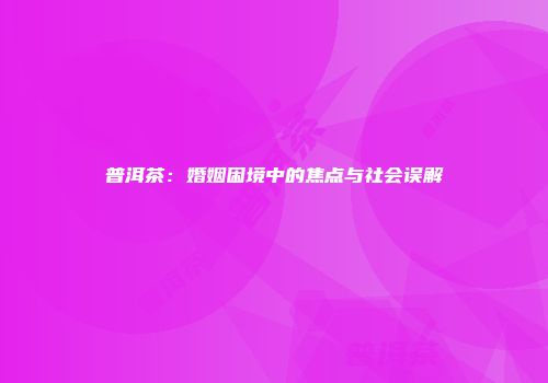 普洱茶：婚姻困境中的焦点与社会误解