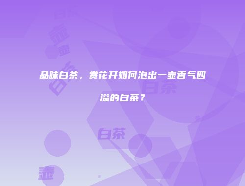 品味白茶，赏花开如何泡出一壶香气四溢的白茶？