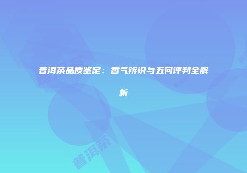 普洱茶品质鉴定：香气辨识与五问评判全解析