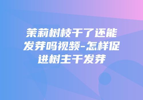 茉莉树枝干了还能发芽吗视频-怎样促进树主干发芽
