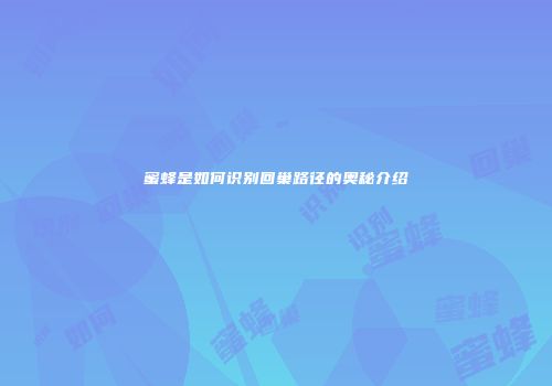 蜜蜂是如何识别回巢路径的奥秘介绍