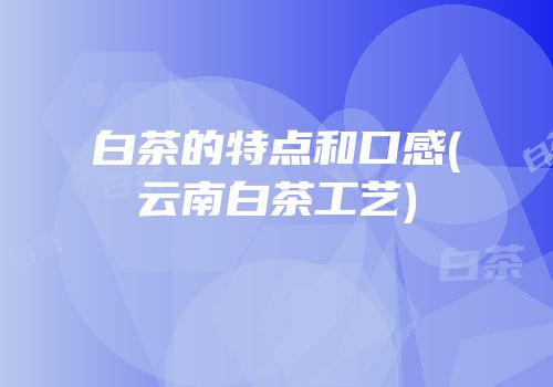 白茶的特点和口感(云南白茶工艺)