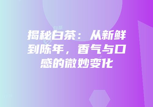 揭秘白茶：从新鲜到陈年，香气与口感的微妙变化