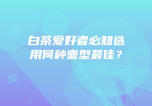 白茶爱好者必知选用何种壶型最佳？