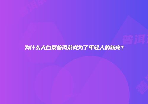 为什么大白菜普洱茶成为了年轻人的新宠？