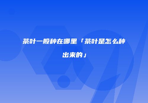 茶叶一般种在哪里「茶叶是怎么种出来的」