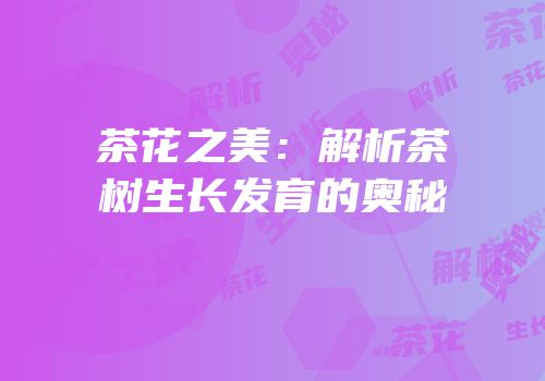 茶花之美：解析茶树生长发育的奥秘