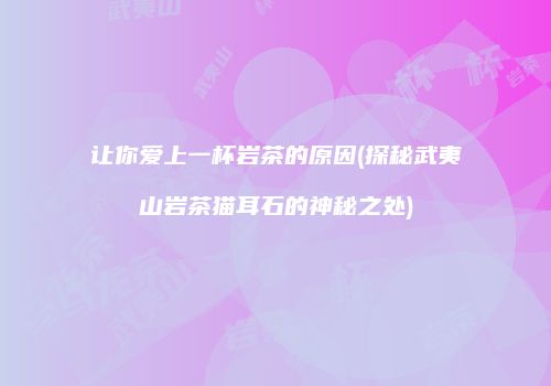让你爱上一杯岩茶的原因(探秘武夷山岩茶猫耳石的神秘之处)