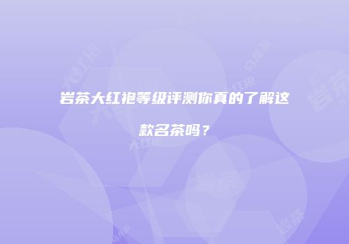 岩茶大红袍等级评测你真的了解这款名茶吗？